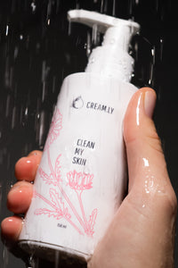 The Cleansing Gel.
